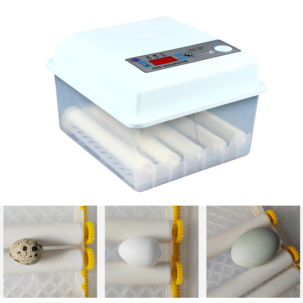16 eggs Incubator
