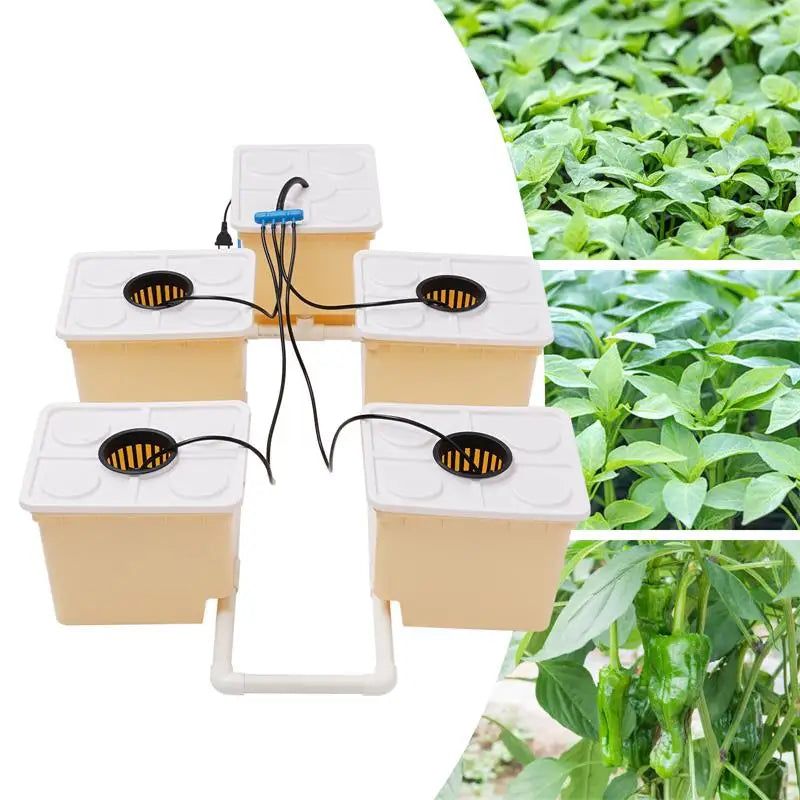 Buckets Drip Growing System