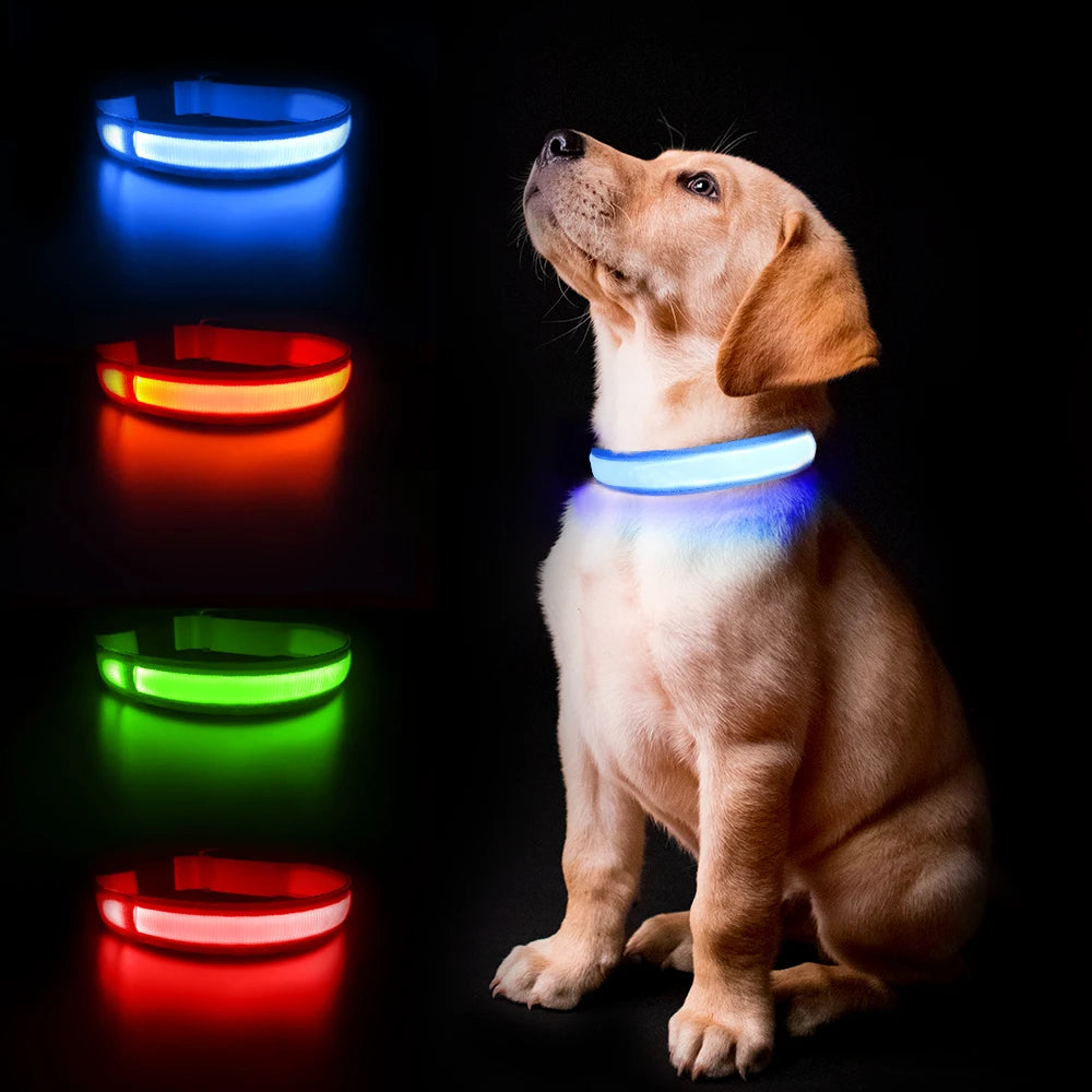 Water poof Luminous Pet Collar