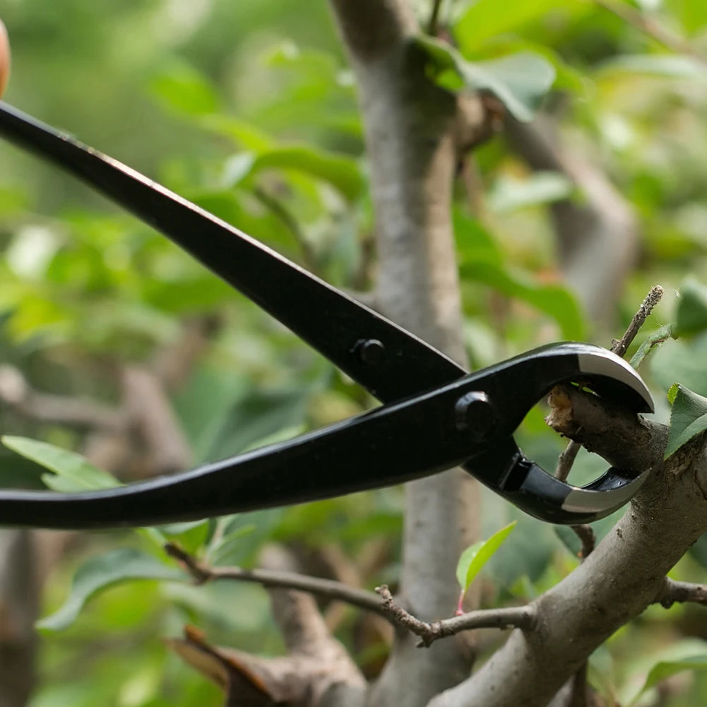 210mm Branch Cutter