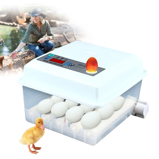 16 eggs Incubator