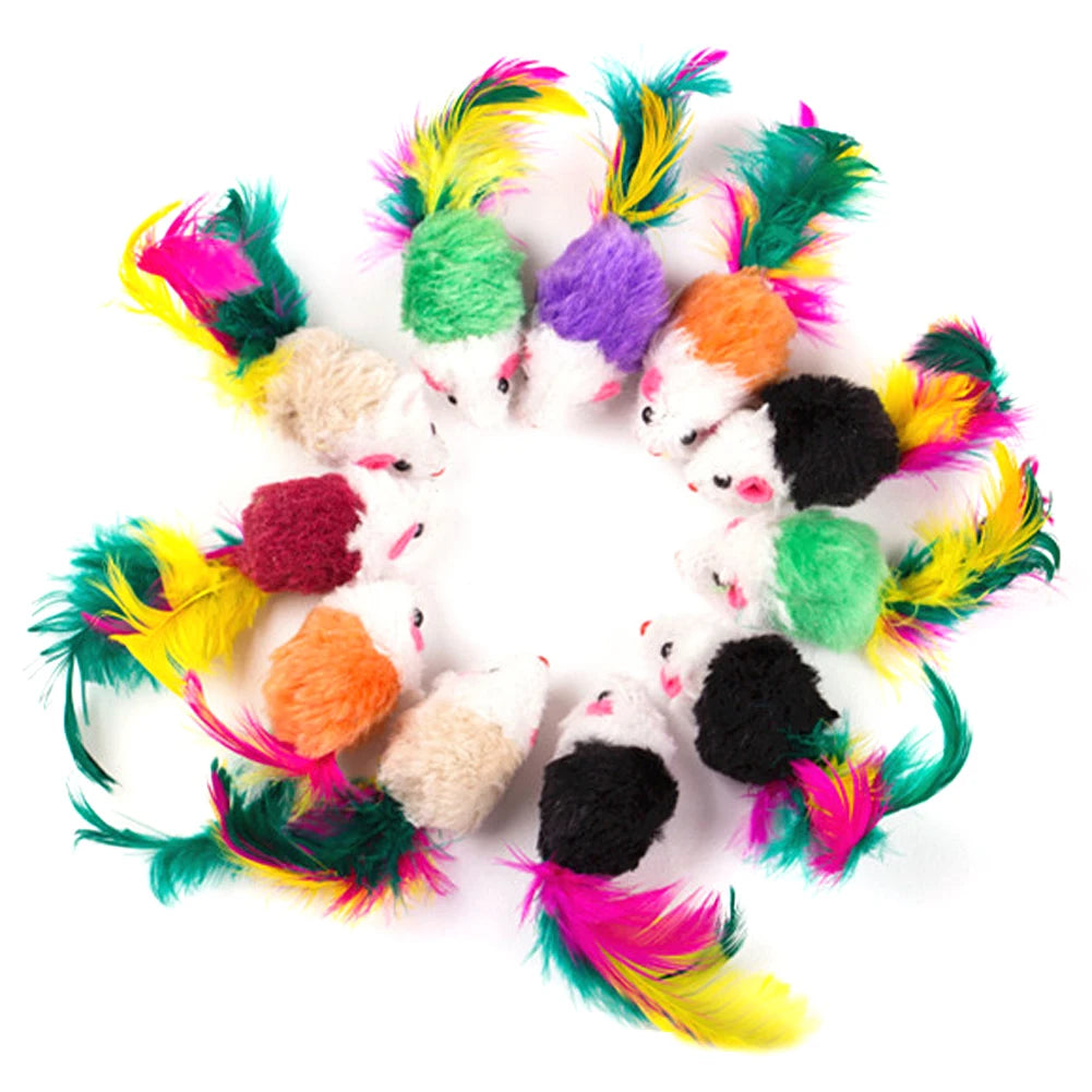 Chew Molar Toys