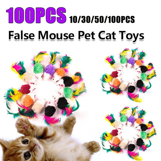 Chew Molar Toys
