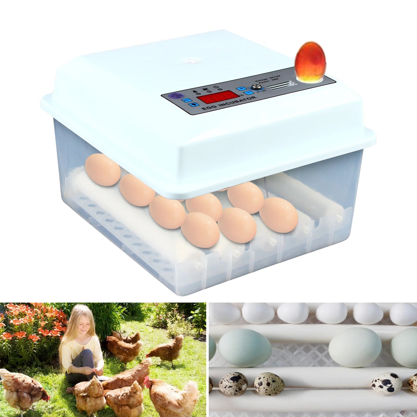 16 eggs Incubator
