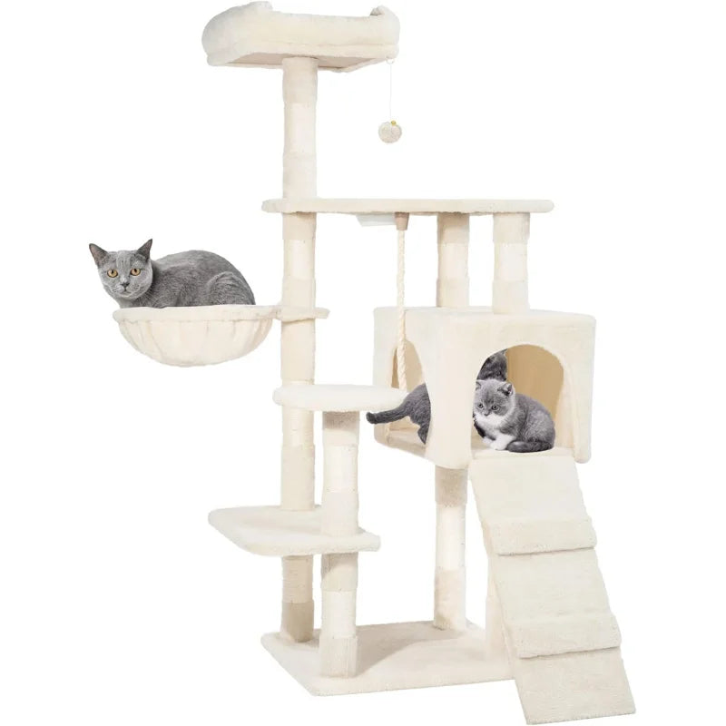 51 inch Cat Condo