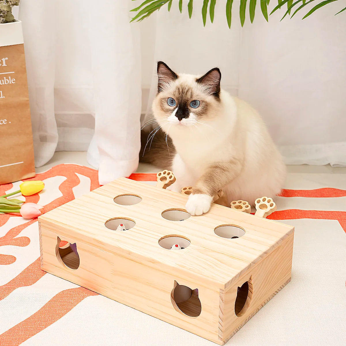 Whack-a-mole Solid Wood Toys for Indoor Cats