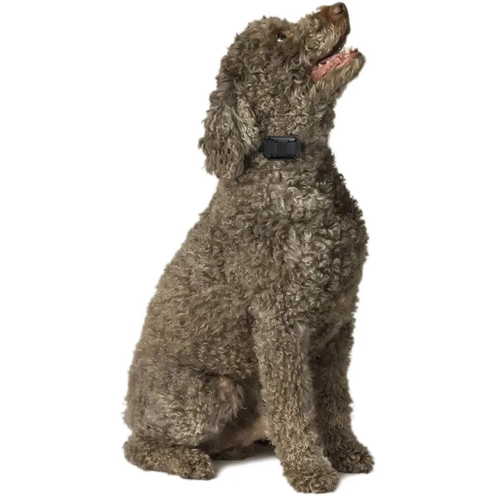 1/2 Mile Small-Medium Dogs Training Collars with Remote