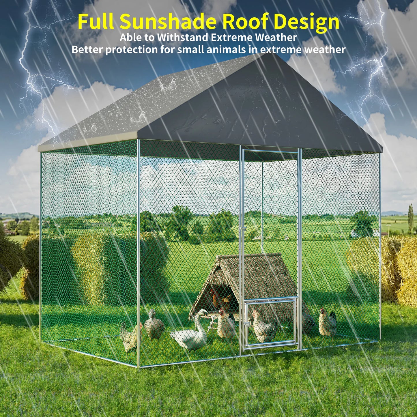 Metal Chicken Coop Runs for Outdoor