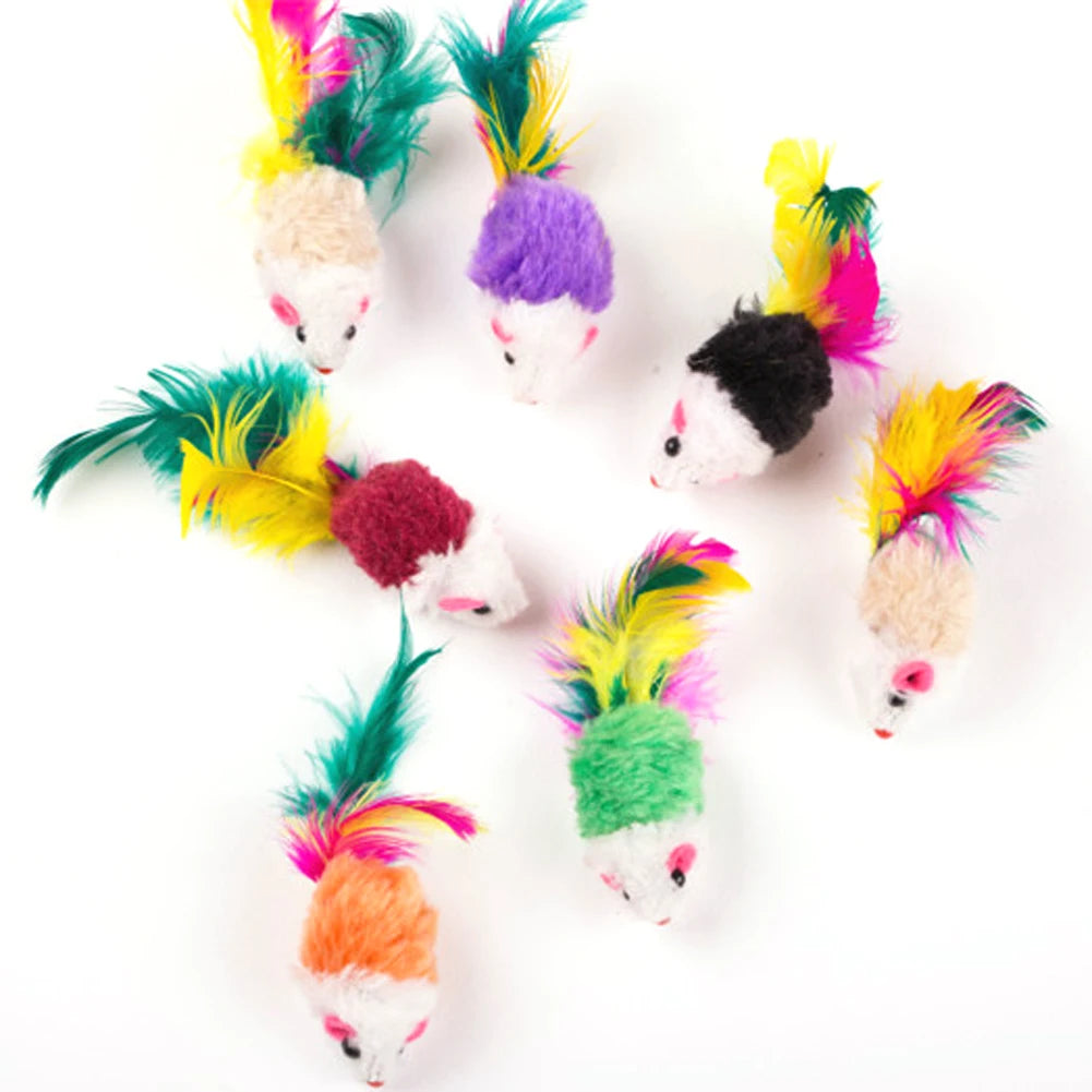 Chew Molar Toys