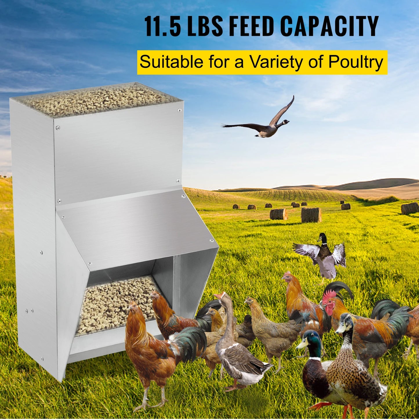 Galvanized Poultry Feeder
