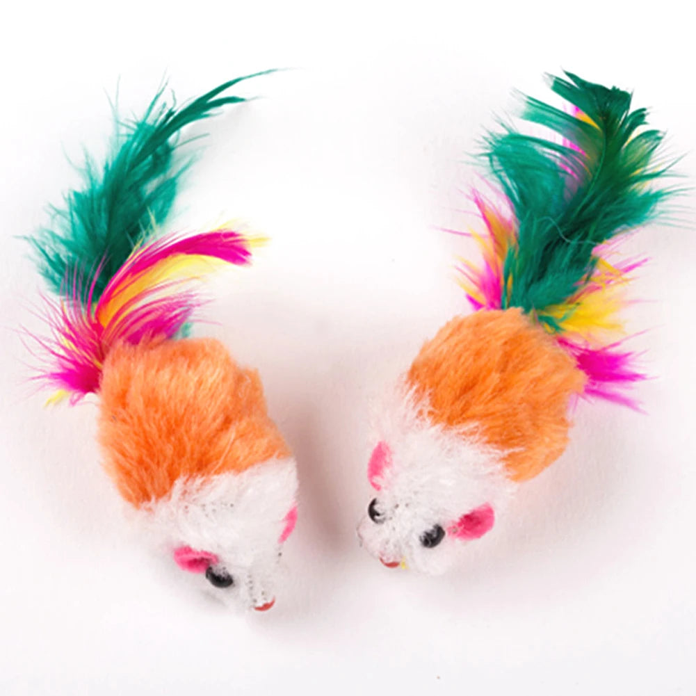 Chew Molar Toys