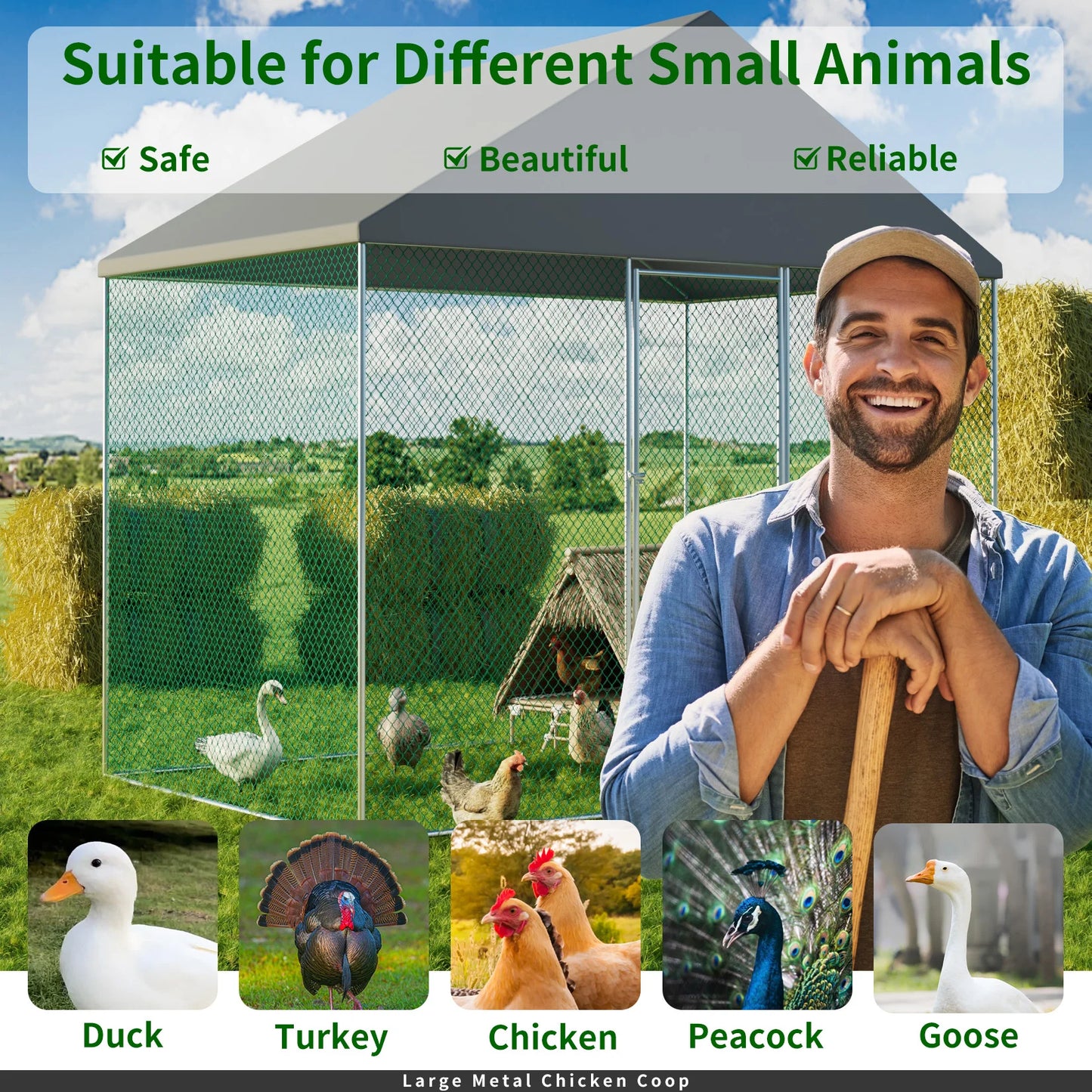 Metal Chicken Coop Runs for Outdoor