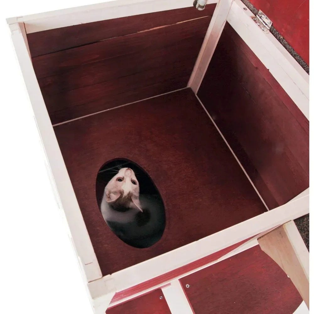 2 Story Outside Cat Shelter Condo