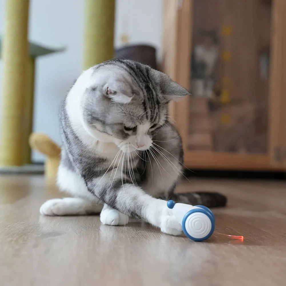 Electric Moving Cat Toys