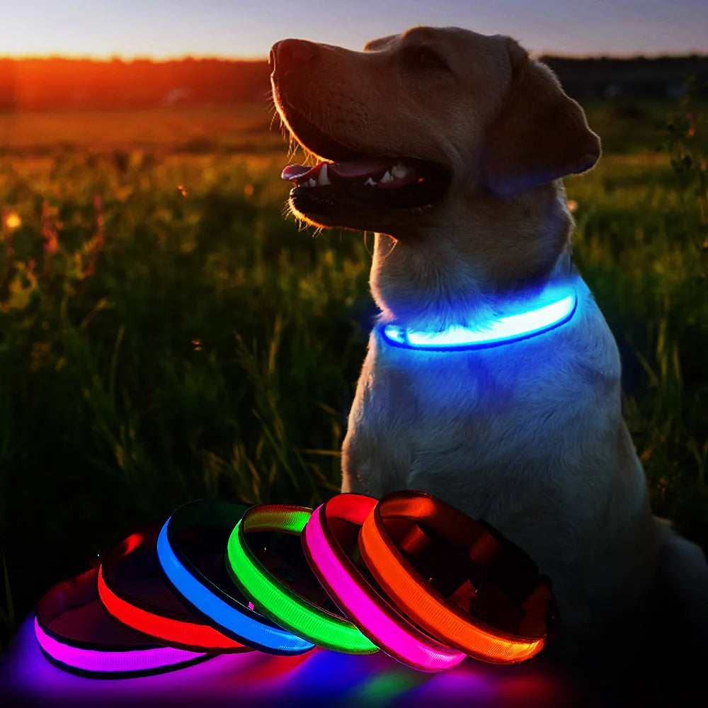 Water poof Luminous Pet Collar