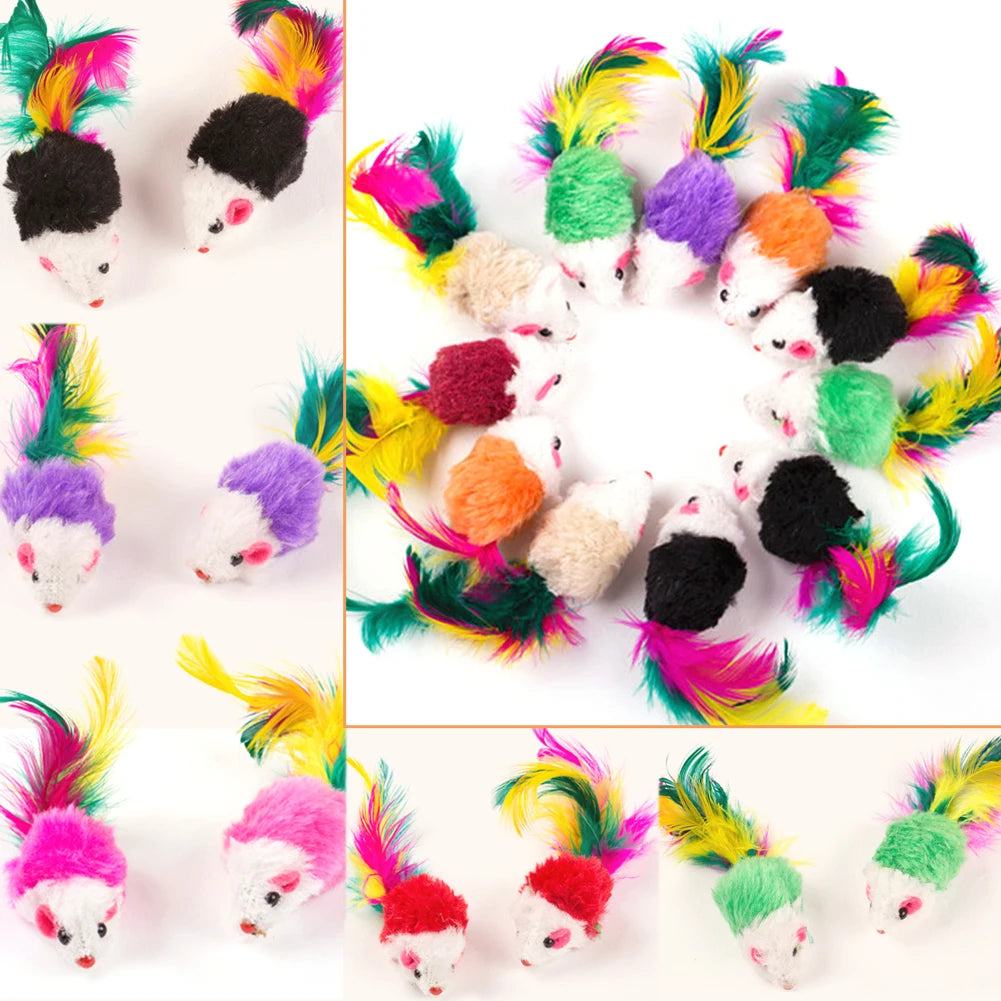 Chew Molar Toys