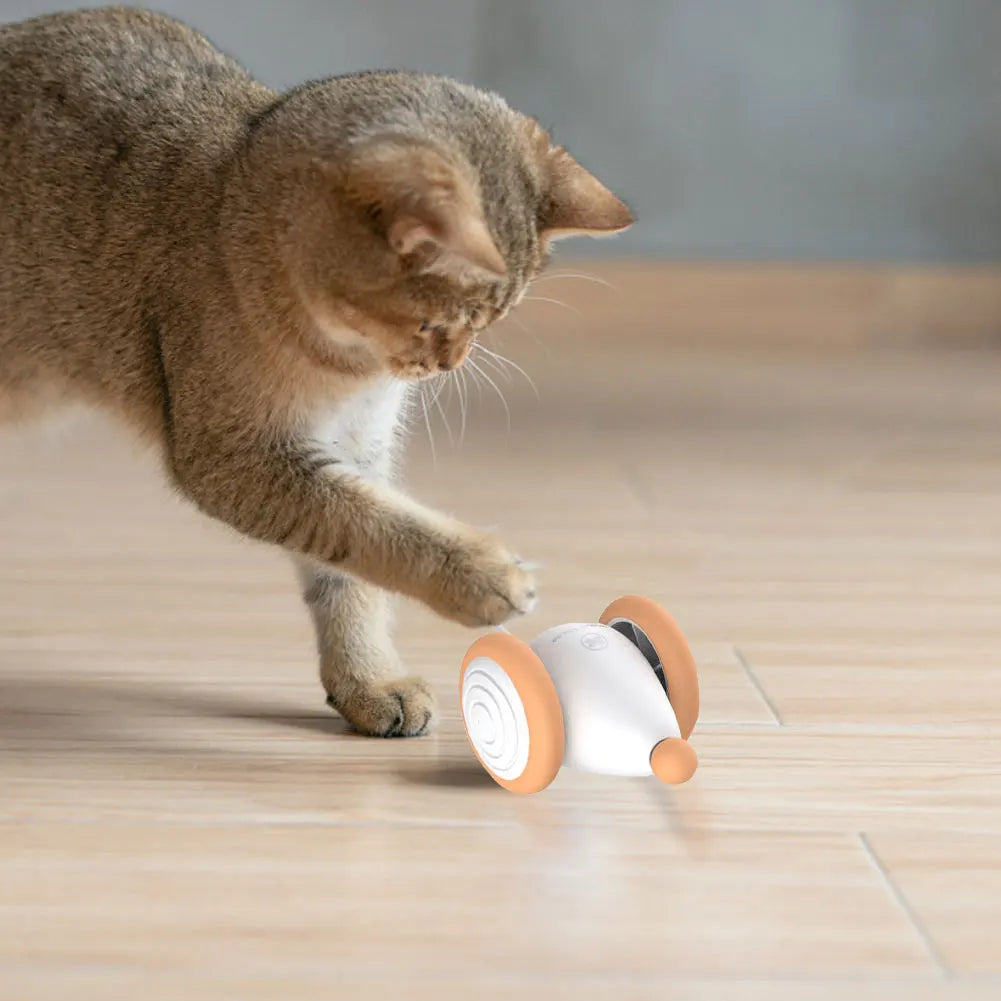 Electric Moving Cat Toys