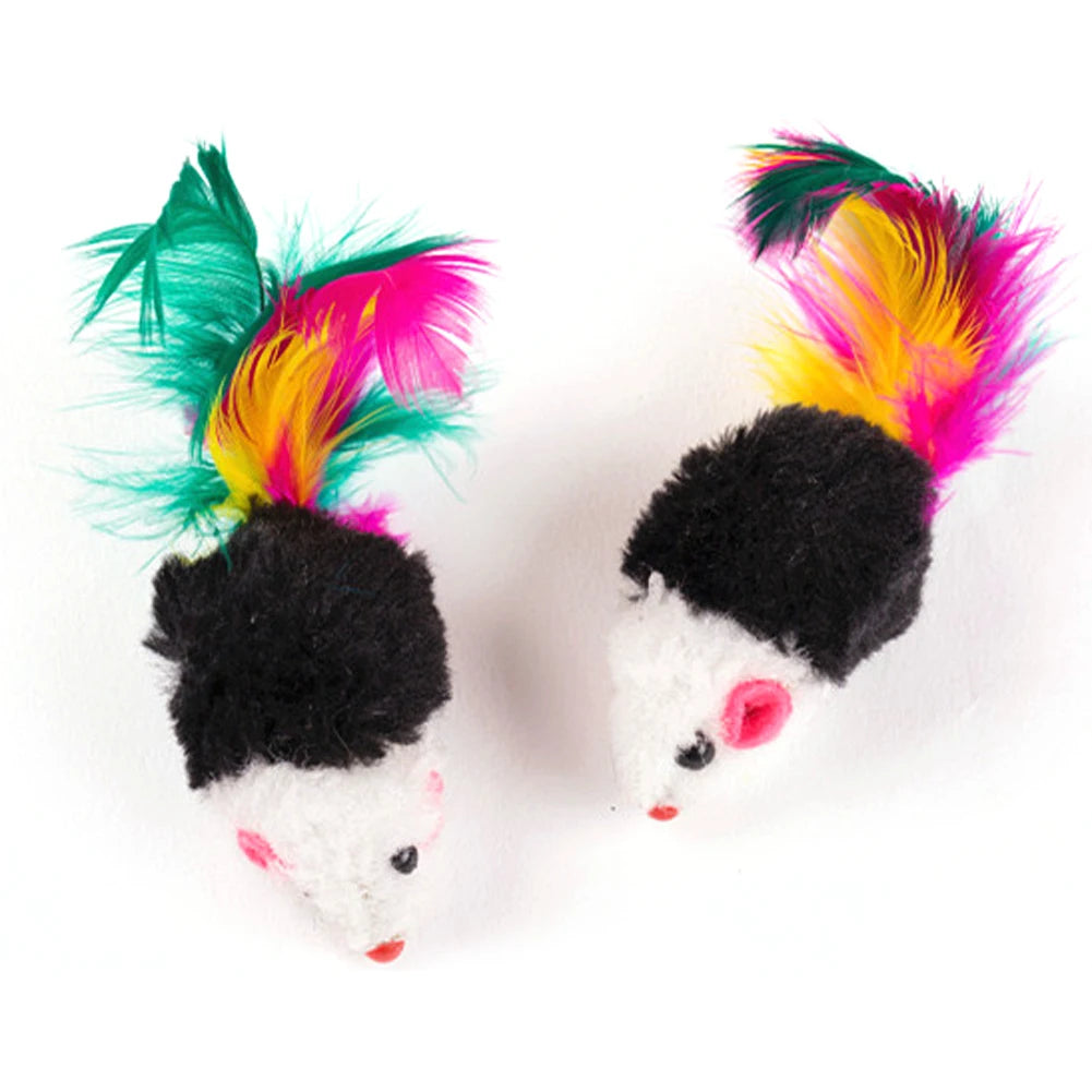 Chew Molar Toys