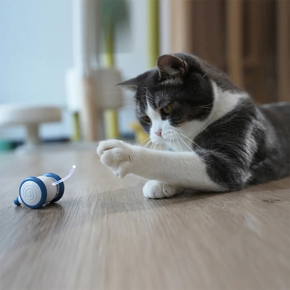 Electric Moving Cat Toys