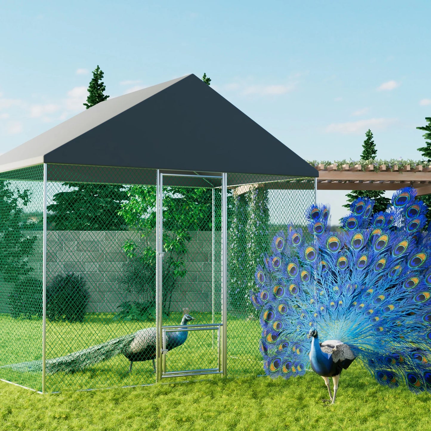 Metal Chicken Coop Runs for Outdoor