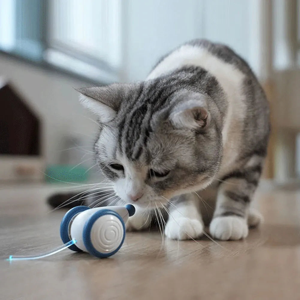 Electric Moving Cat Toys